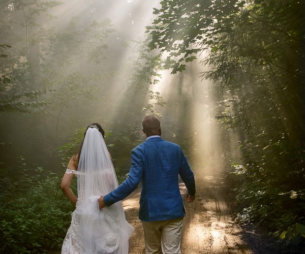 015_313_D&N_18-08-18-copy 015_313_D&N_18-08-18-copy